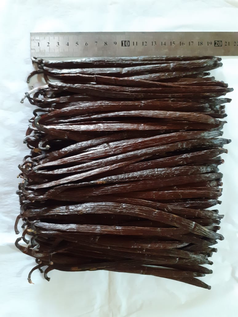 Whole cured vanilla beans measured